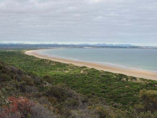 View over Bakers Beach